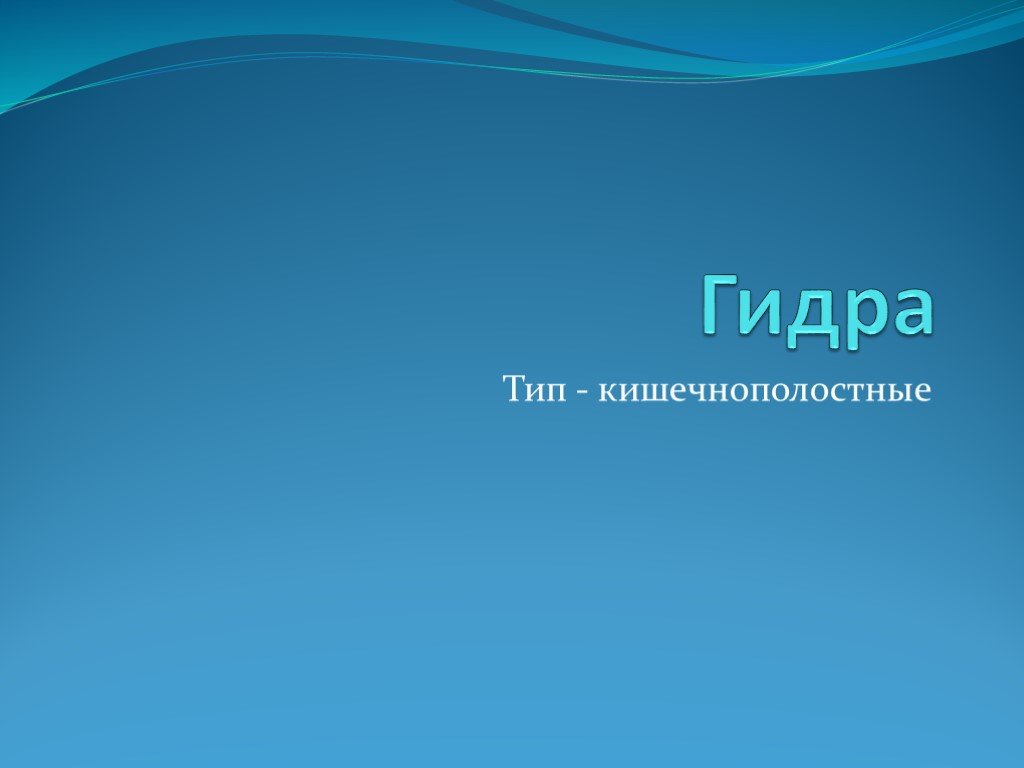 Кракен сайт что будет если зайти