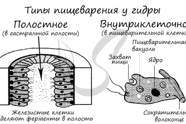 Кракен ссылка trikky