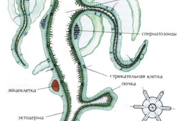 Картинка кракен маркетплейс