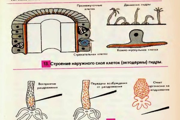 Кракен маркетплейс что там продают