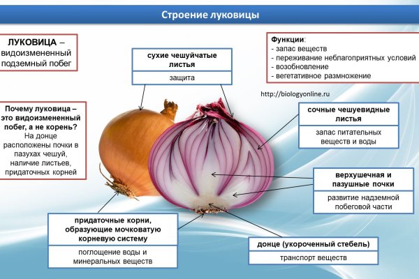 Почему не работает кракен сегодня